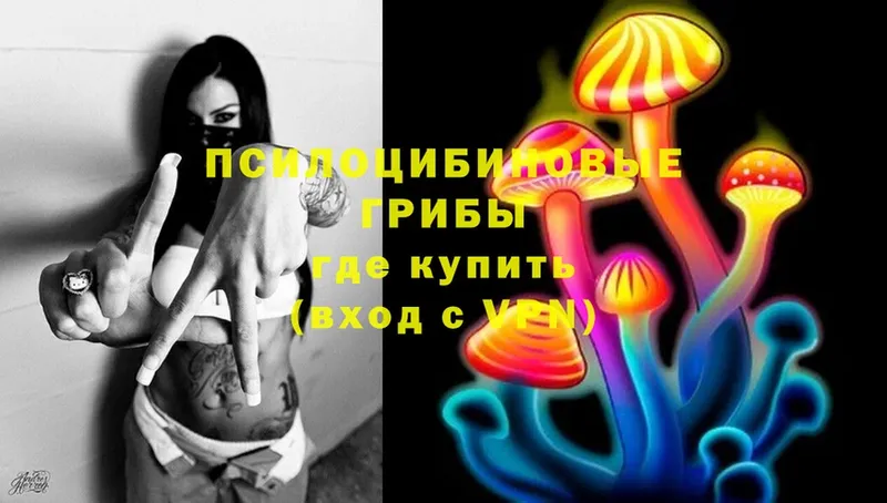 Галлюциногенные грибы Cubensis  сколько стоит  Новосиль 